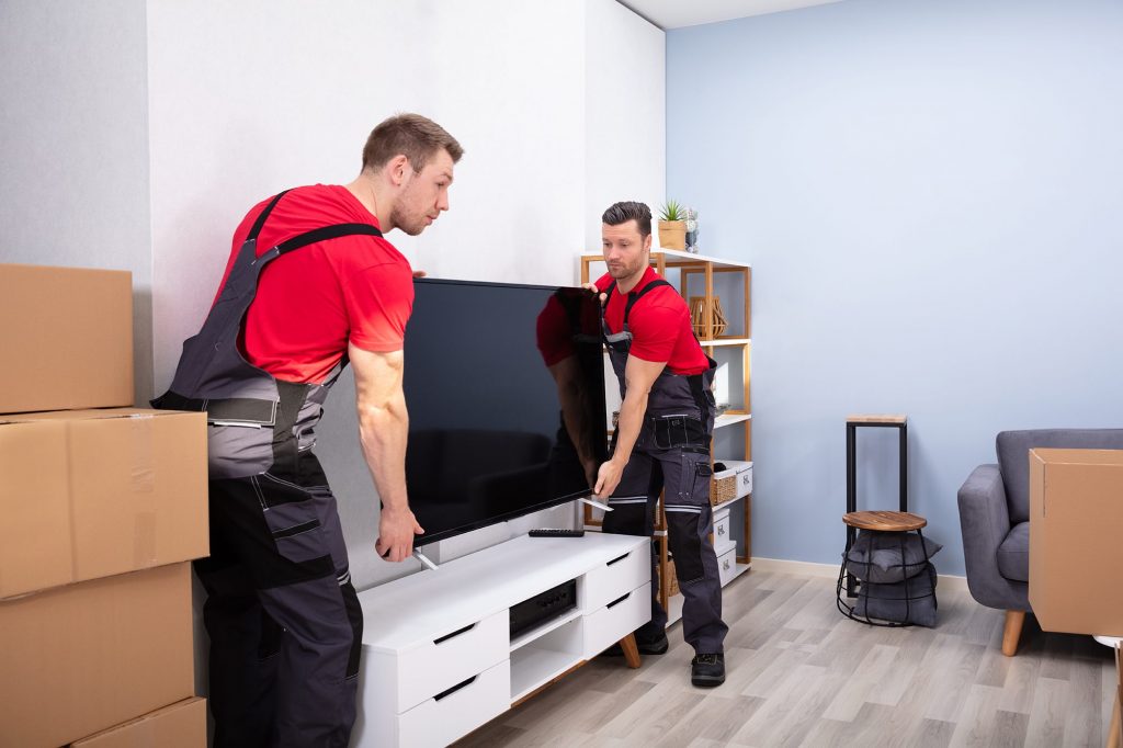 Professional Movers Heavy and Basic Equipment Professional Movers Heavy and Basic Equipment