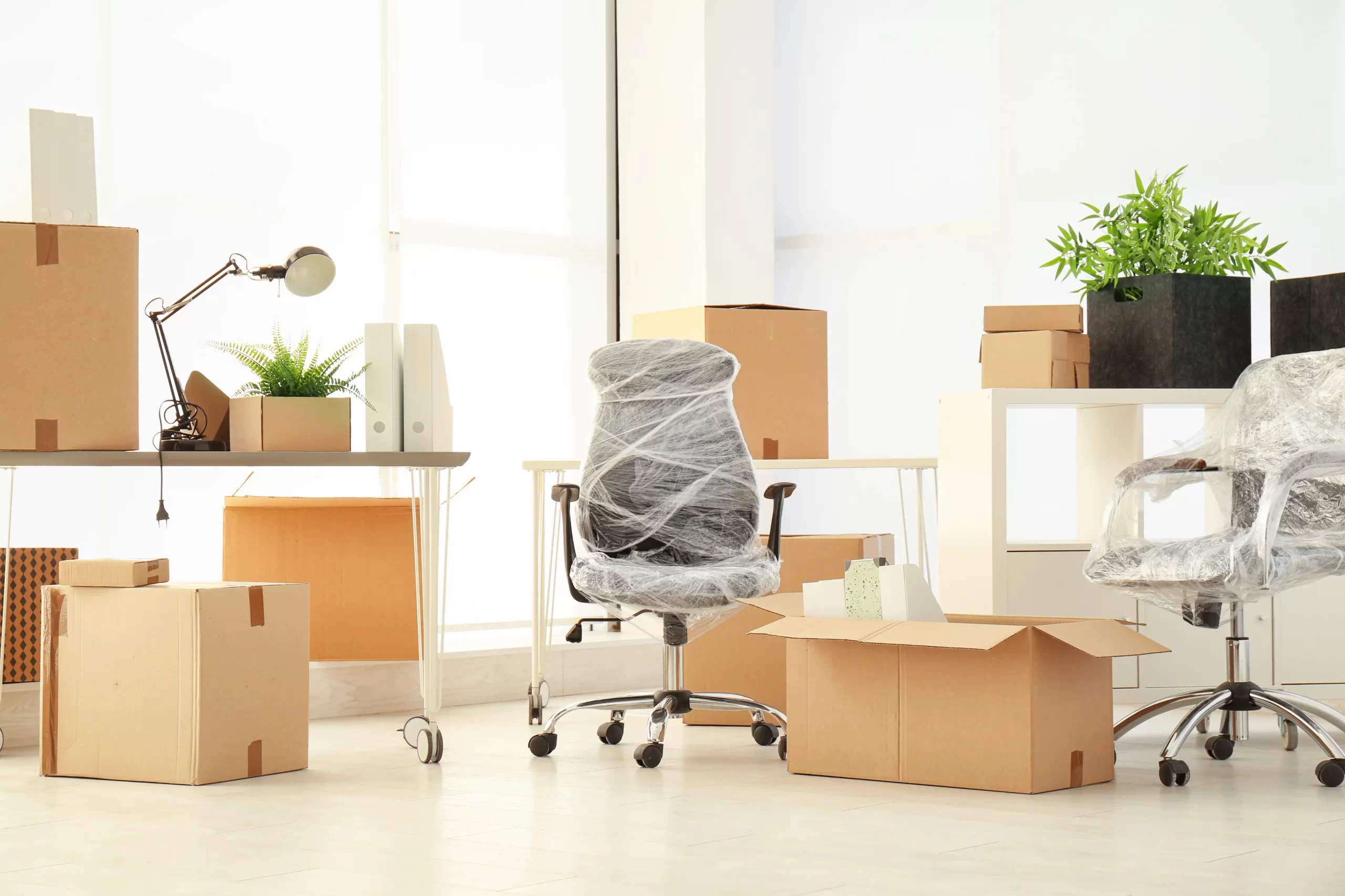 Office Movers in Abbotsford